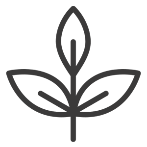 Iconiță natură
